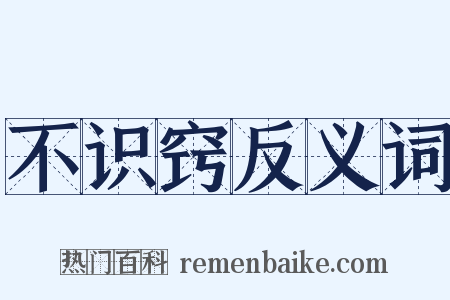 不识窍反义词是什么意思的图片